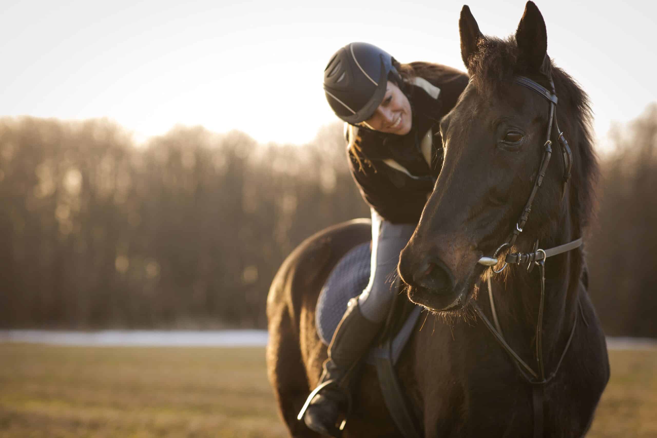 Smiling equestrian rider on a dark brown horse