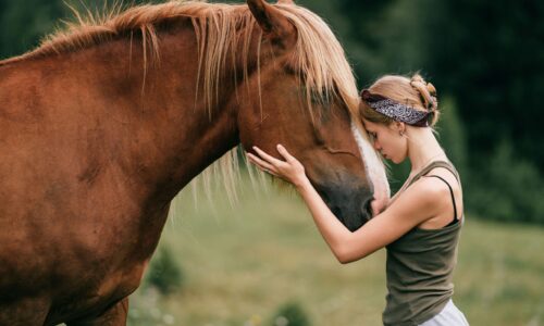 Finding the Perfect Horse for Your Leisure Riding Goals