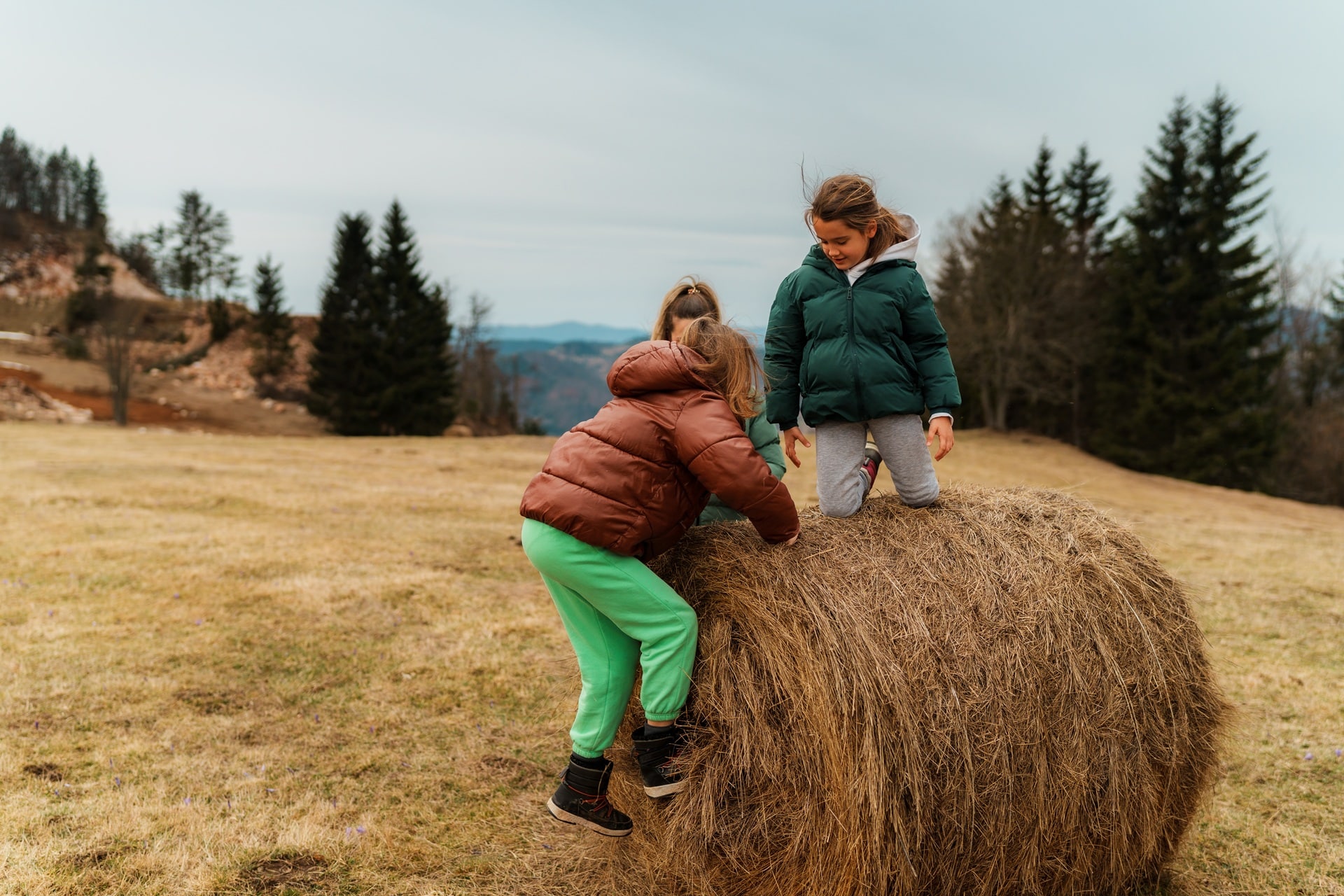 Drei Kinder klettern auf grossen Heuballen im Freien | Klassenfahrt Hamburg