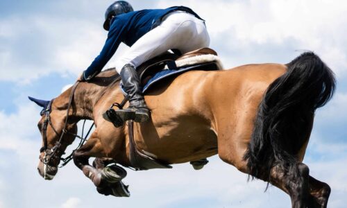 Pro-Level Criteria for Spotting True Champions